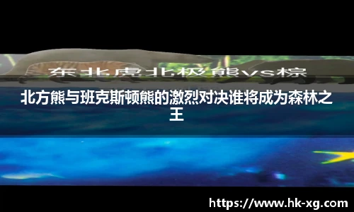 北方熊与班克斯顿熊的激烈对决谁将成为森林之王